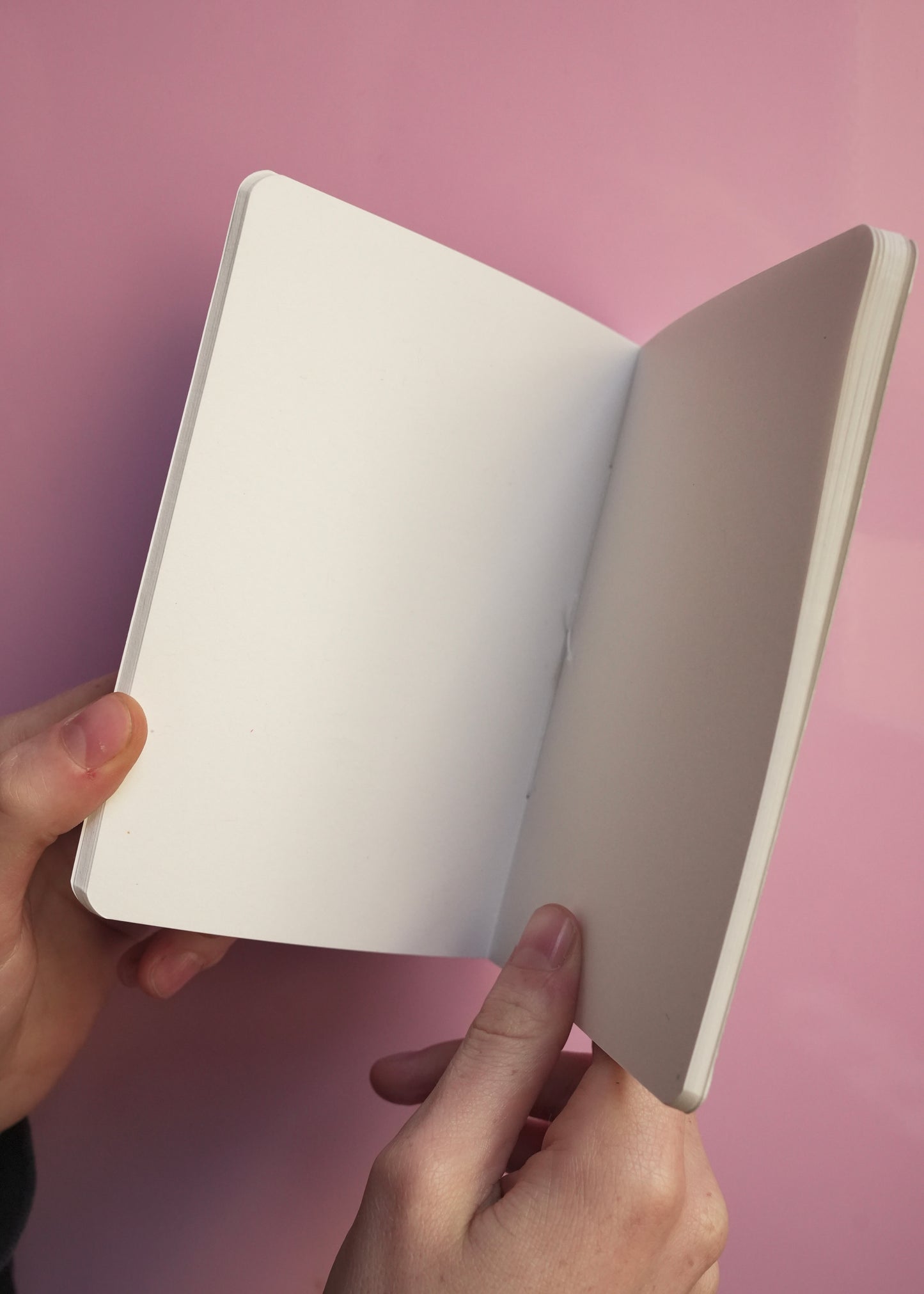 Hand-Sewn Notebooks - Various Designs