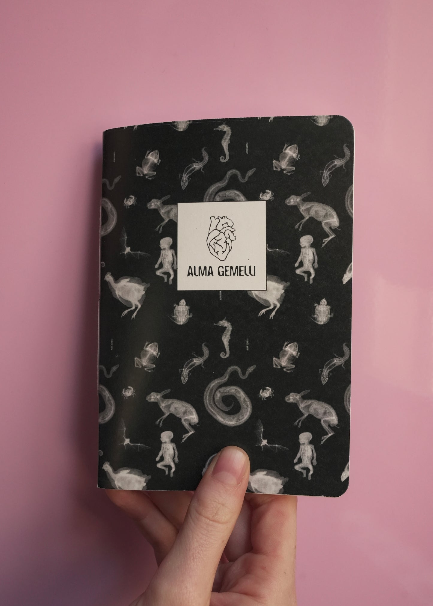 Hand-Sewn Notebooks - Various Designs