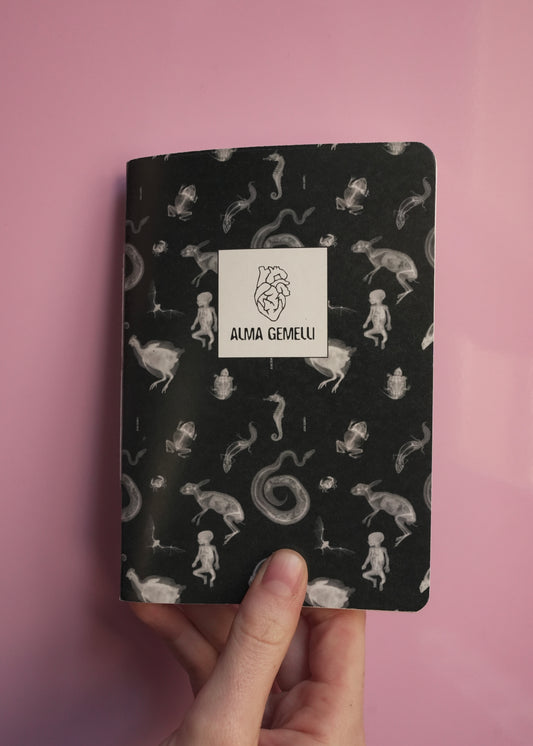 Hand-Sewn Notebooks - Various Designs