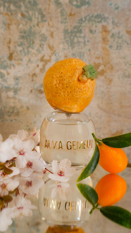 Parfum ''Clementina'' Pack Luxury