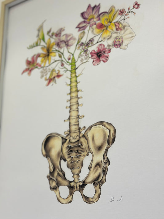 Sacrum Bone