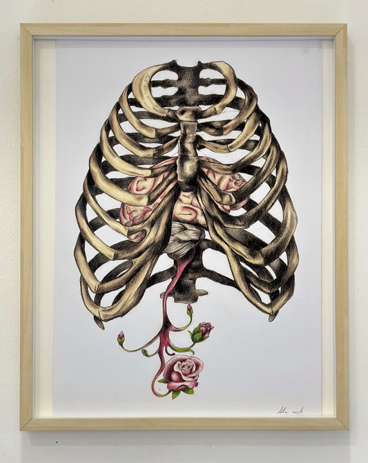 Rib