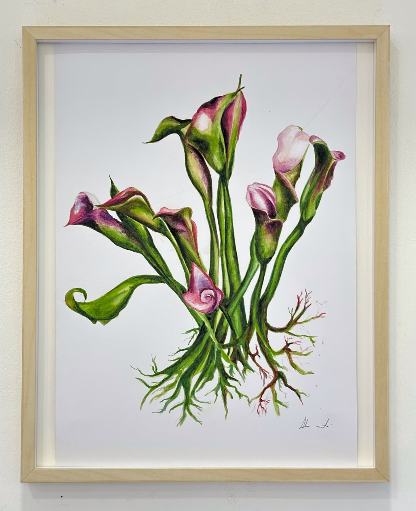 Calla Venosa