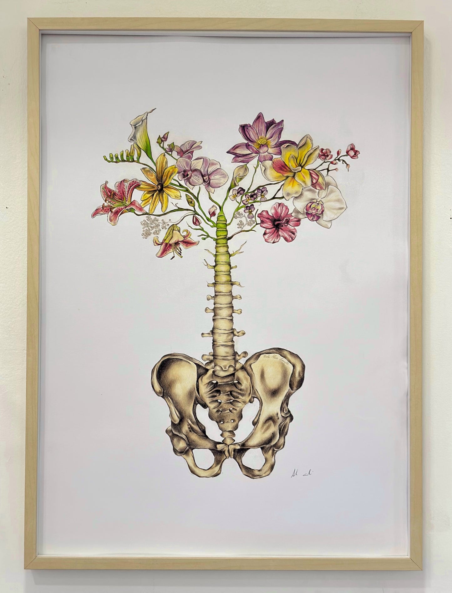 Sacrum Bone
