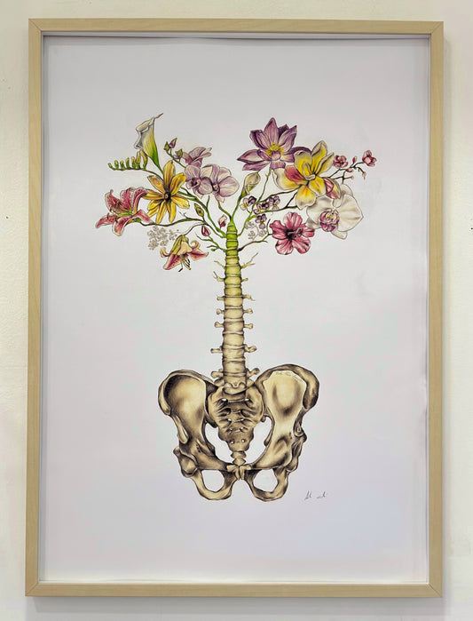 Sacrum Bone